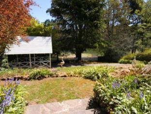 Lake Daylesford Apartments Garden Room 2 - Daylesford