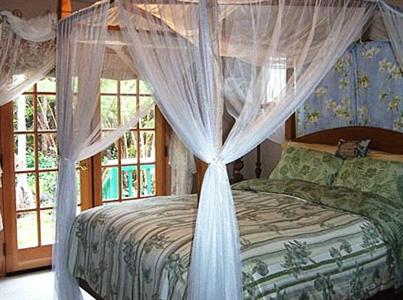 Bamboo Orchid Cottage Bed & Breakfast