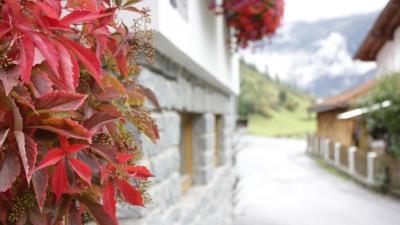 Haus Alpenblick Kaunertal