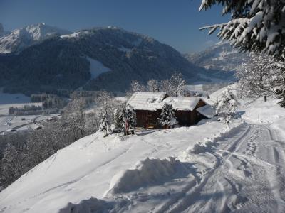 Berghof Franz Josef's Hoehe