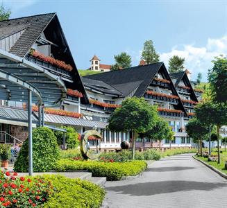 Hotel Dollenberg