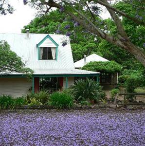 The African Cottage