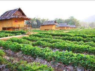 Pai See Tong Strawberry Farm Resort