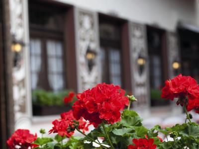 Hotel Felsenkeller Rudesheim am Rhein