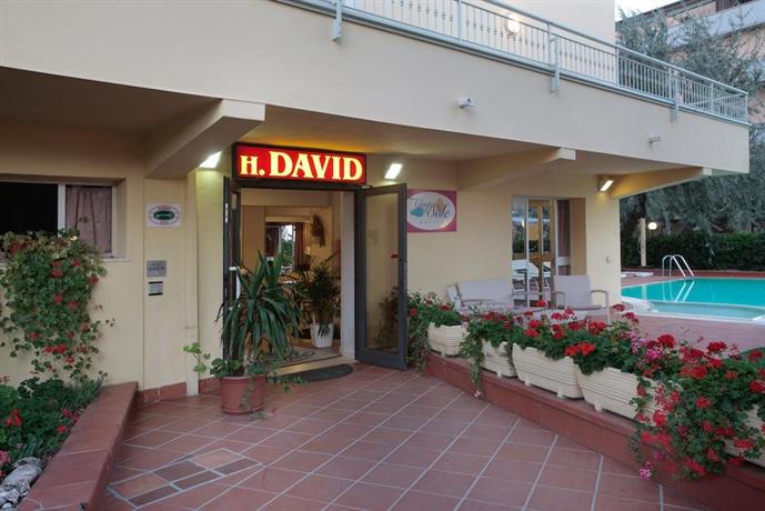 Hotel David