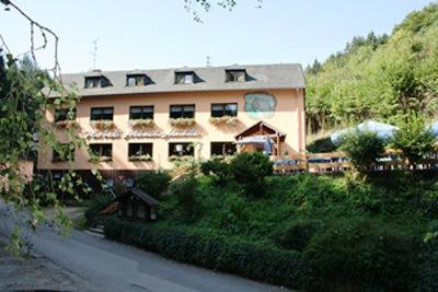 Waldhotel Landgasthof Albachmuhle