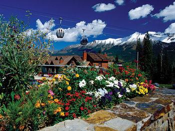 Mountain Lodge Cabin by Telluride Resort Lodging