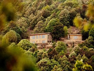 Somerset Lodge Mukteshwar