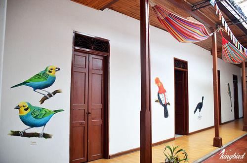 Kingbird Hostel