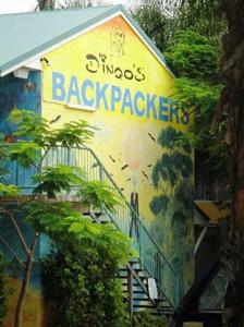 Dingos Backpacker Adventure Resort