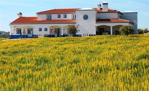 Herdade Dos Barros Hotel Terena