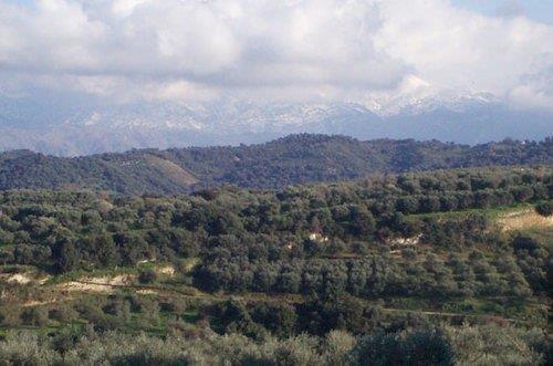 Arion Luxury Villas