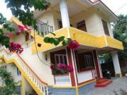 Bougainvilla Homestay