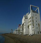 Venus Beach