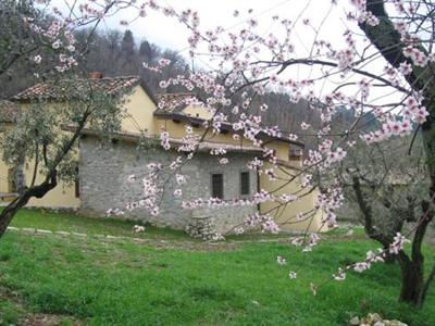 Agriturismo Il Ponticello