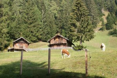 Enzian Hutte