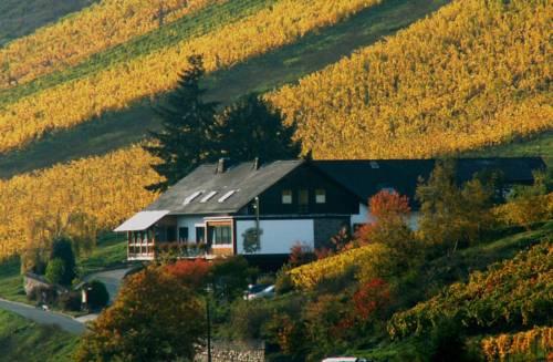 Weingut & Ga Stehaus Sonnenhof