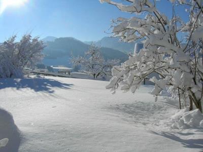 Sonnenschein Kobras Hutte