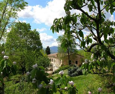 Agriturismo Gocce di Camarzano