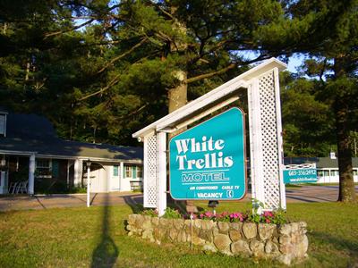 White Trellis Motel