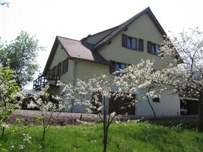 Chambre d'Hotes Chez Odile-Le Clos de la Cerisaie