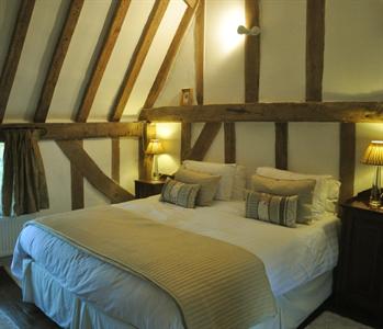 Holly Tree House