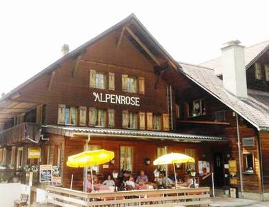 Alpenrose Bumbach