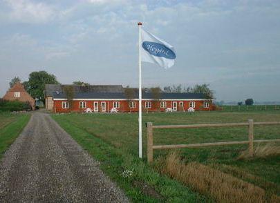 HojGaard