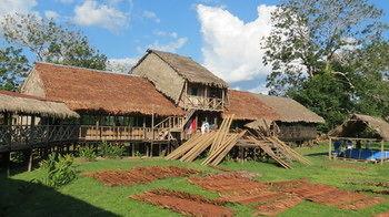 Reserva Indigena Irapay - Amazonas