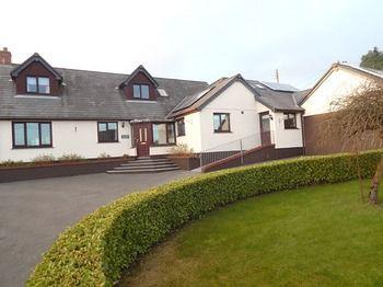 Daisythorne Bungalow B and B