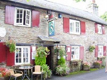 The Dolphin Inn