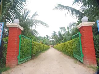 Stay Inn Hotel & Resort