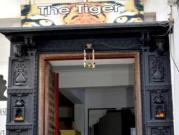 The Tiger Hotel Udaipur