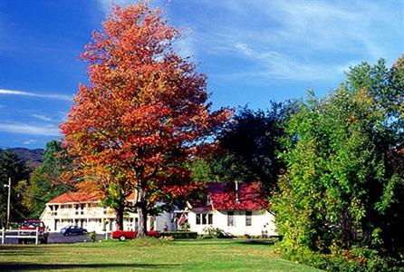 White Mountain Motel & Cottages