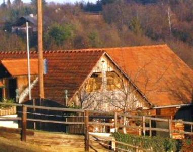 Bauernhof Pferdehof Pfaffenriegel Ferienwohnungen Neuhaus am Klausenbach