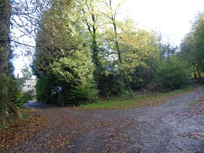 Gite Equestre En Normandie Au Coeur De La Foret