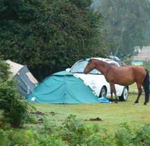 Roundhill Caravan Park & Campsite