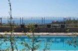 Chrysiida Suites
