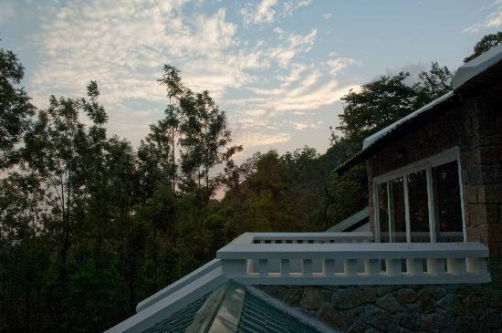 Calm and Scenic retreat in Munnar