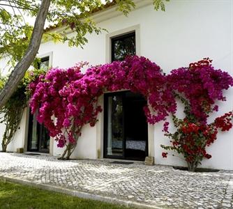 Quinta Do Miguel Sesimbra