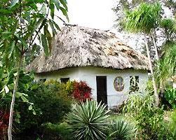 Pine Ridge Lodge Belize