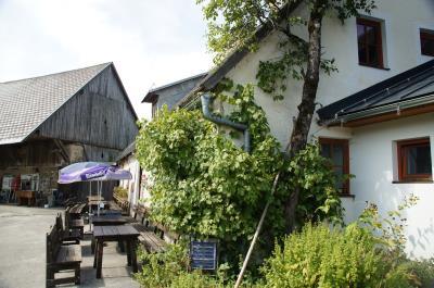 Bauernhof Almhof Wurbauer