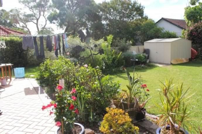 Homestay in Pennant Hills near Thornleigh Railway Station