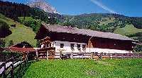 Bauernhof Heinreichgut Farmhouse Dorfgastein