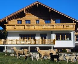 Alpenchalet-Gosau