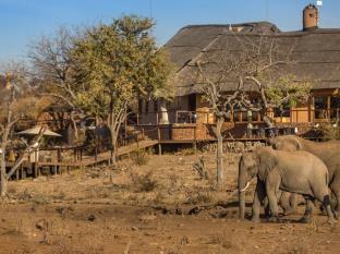 Royal Madikwe Luxury Safari Lodge