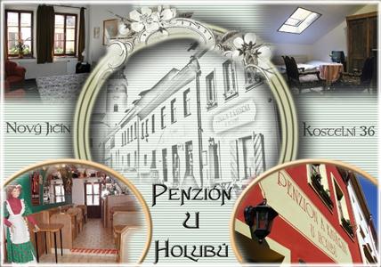 Penzion a Kavarna u Holubu