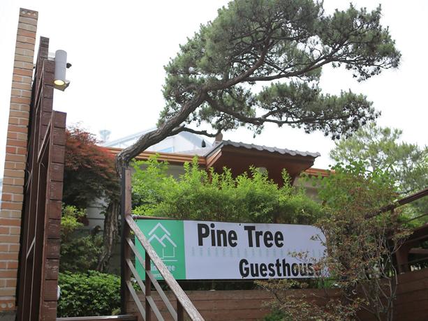 Pine Tree Guesthouse