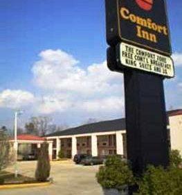 Econo Lodge Inn and Suites Forest