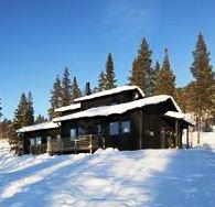 Tannaskroket